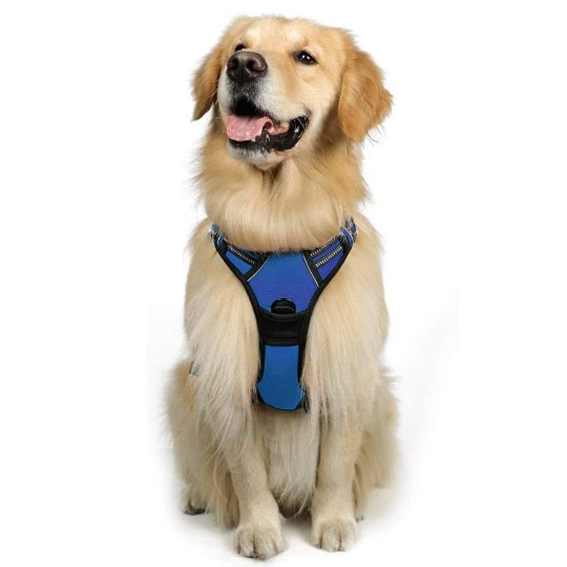 Chaleco de Seguridad Reflectante para Perros
