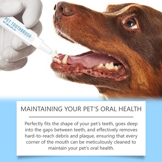 Cepillo Dental tipo Bolígrafo para Perros