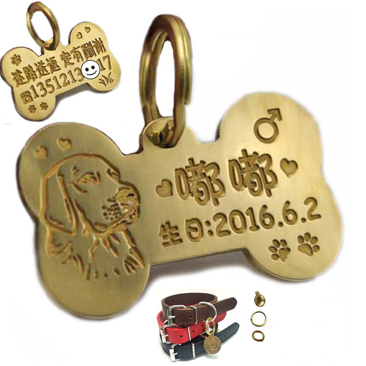 Placa de Identificación Grabada para Perros