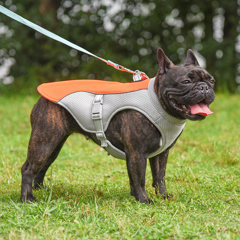 Chaleco Refrescante para Perros