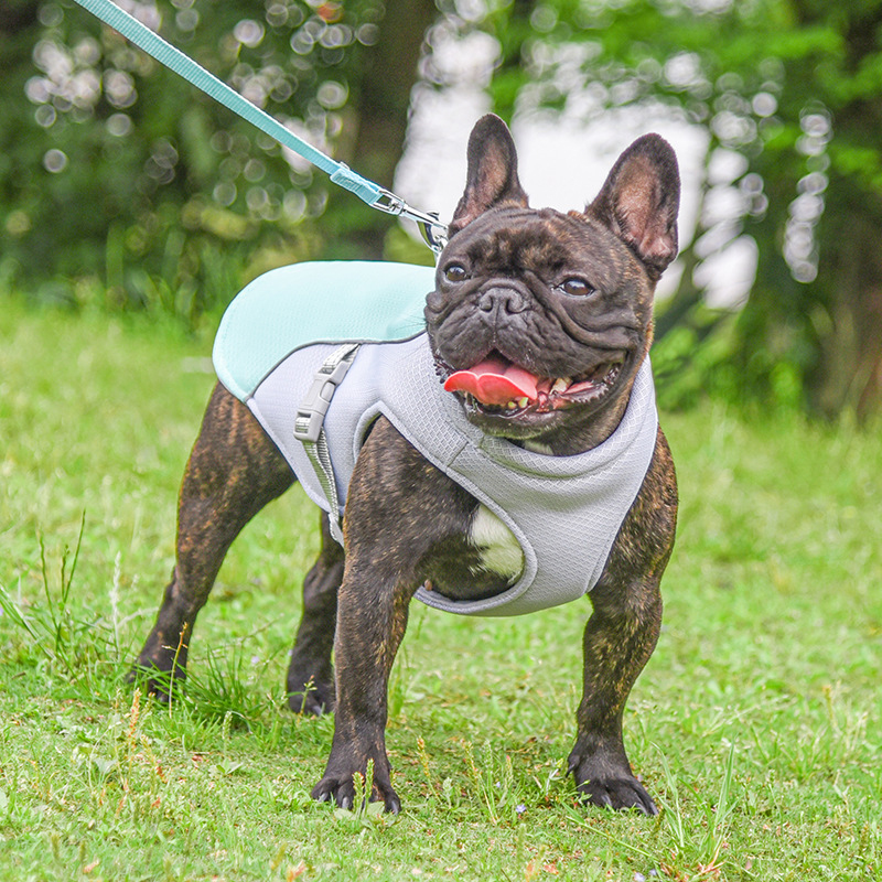 Chaleco Refrescante para Perros